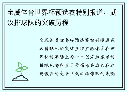 宝威体育世界杯预选赛特别报道：武汉排球队的突破历程